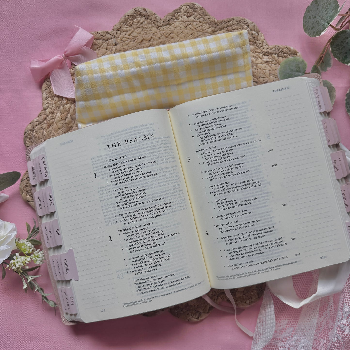 Sunshine Bible Cover