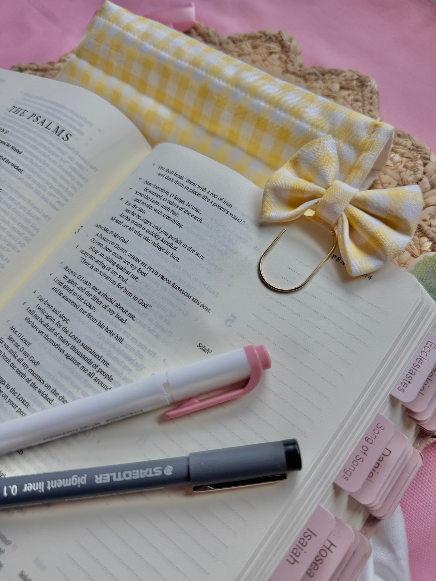 Sunshine Bible Cover