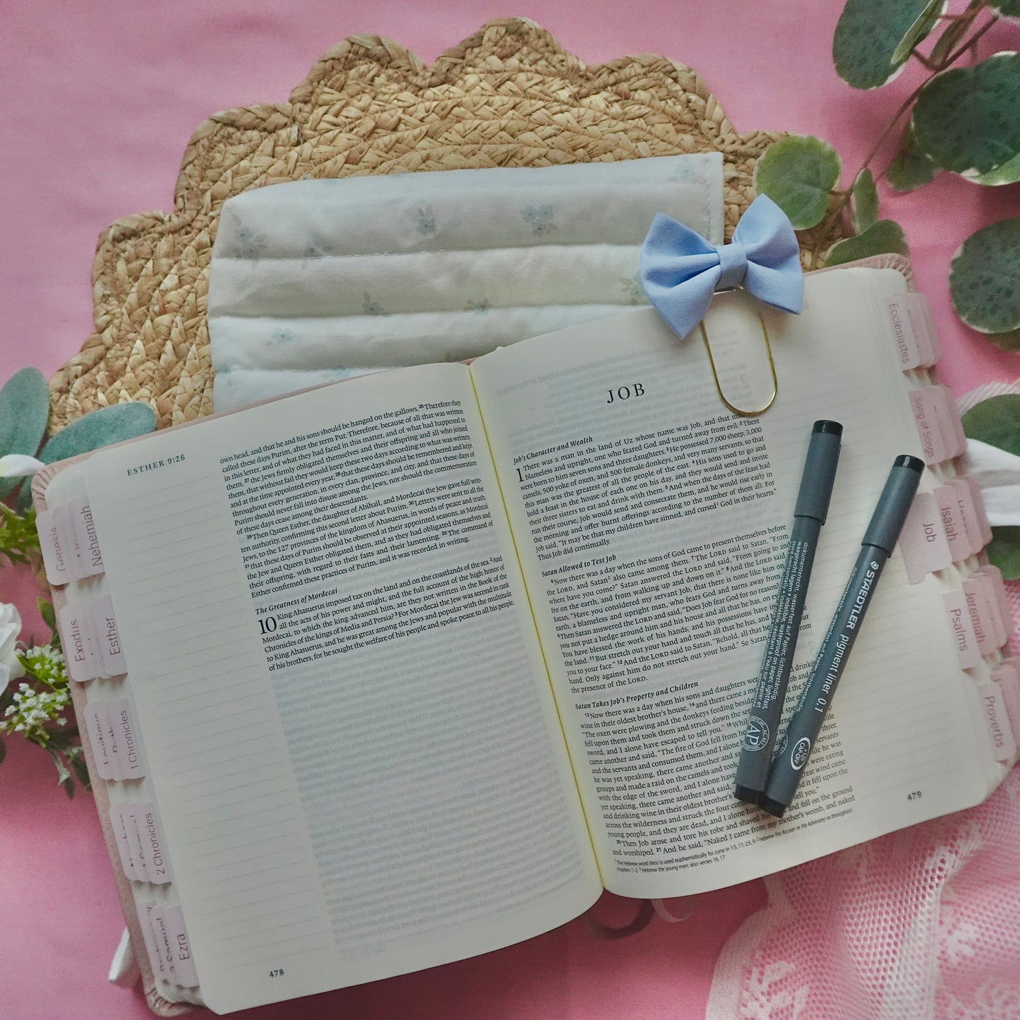 Blue Meadows Bible Cover